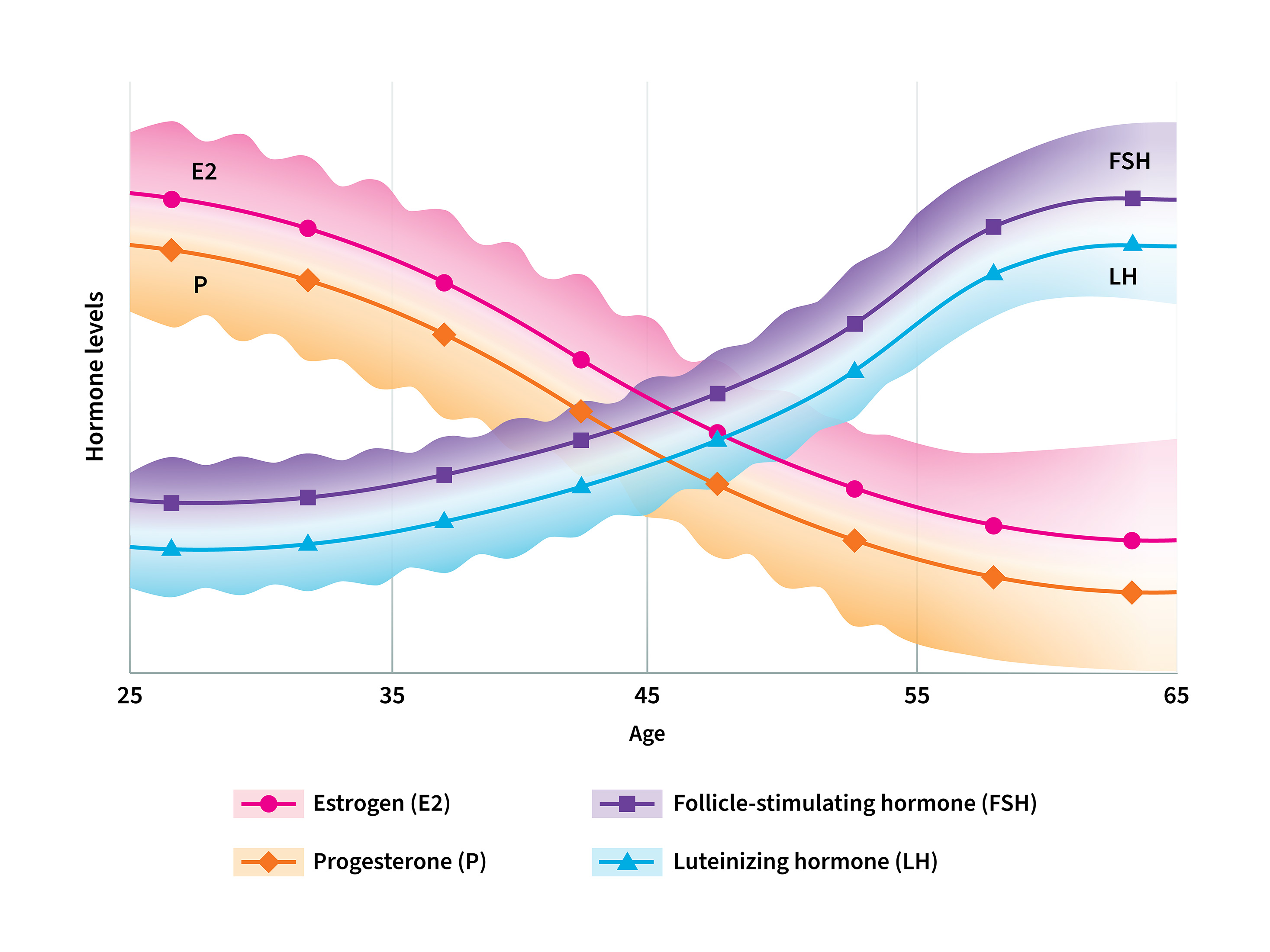 Hormone levels graphical representation