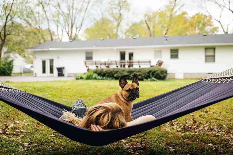 A woman and her small dog relaxing outdoors in a hammock on a sunny day.